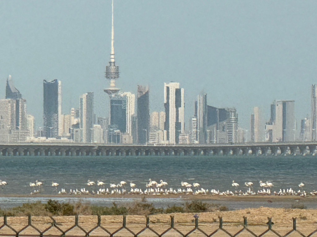 مكتب عقاري بوسعود